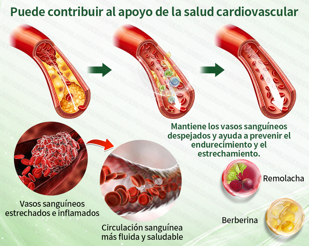 ⏰️Parche adelgazante a nivel nanométrico：✅️ Úsalo una vez al día y verás resultados en 7 días✅️. Elimina la acumulación de grasa rebelde y mejora la diabetes.