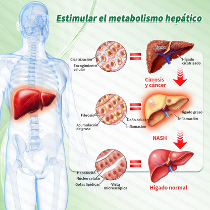 ⏰️Parche adelgazante a nivel nanométrico：✅️ Úsalo una vez al día y verás resultados en 7 días✅️. Elimina la acumulación de grasa rebelde y mejora la diabetes.